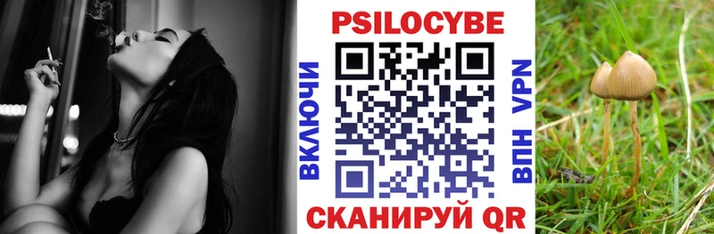 Галлюциногенные грибы мицелий  hydra ссылки  Куровское 